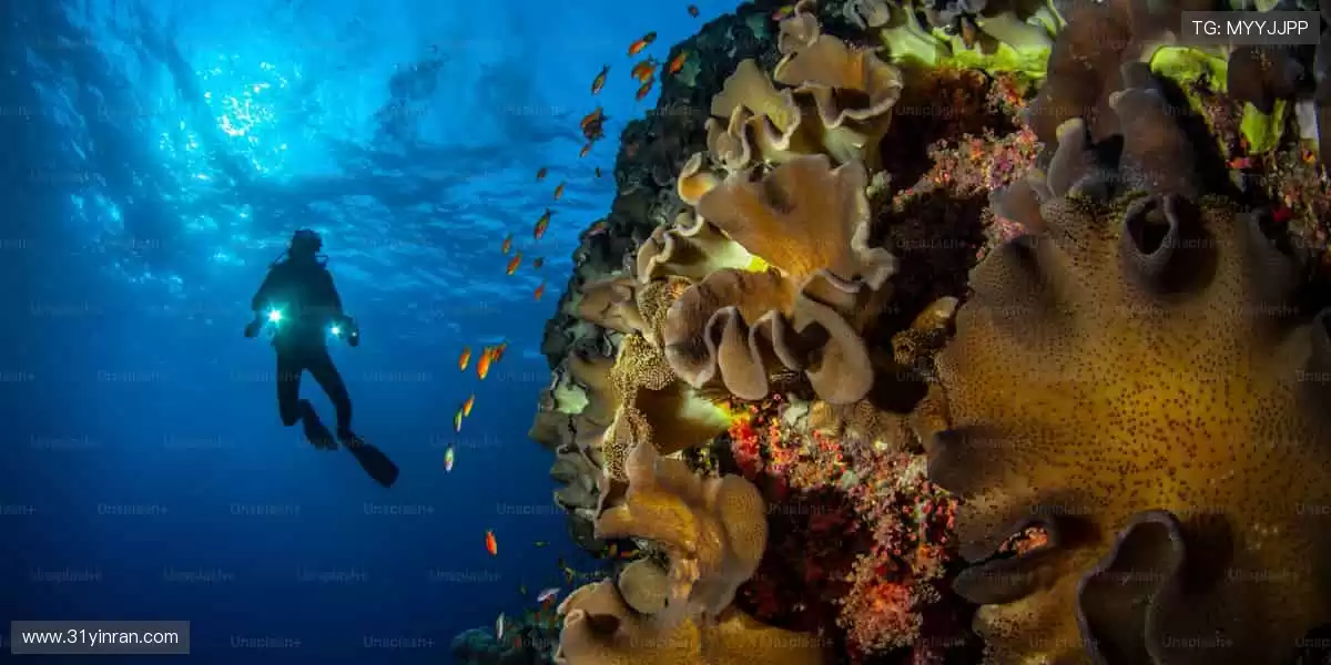 ⚡巅峰对决，心跳与欢呼同频！🏆